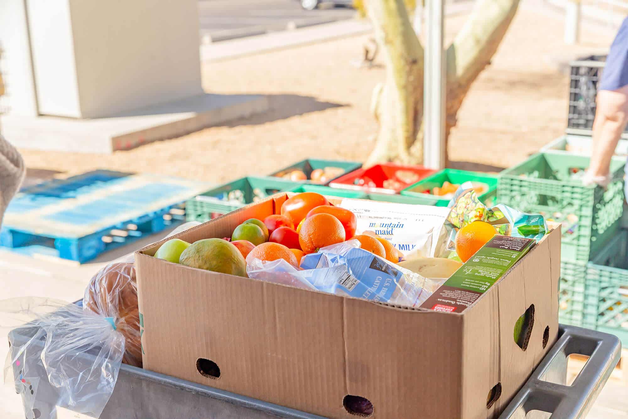 Food donation box with fresh fruits and groceries prepared by Paz de Cristo charity for community food assistance.